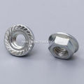 GALVANIZED FLANGE NUTS STEEL